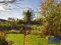 Images for Centre Drive, Newmarket