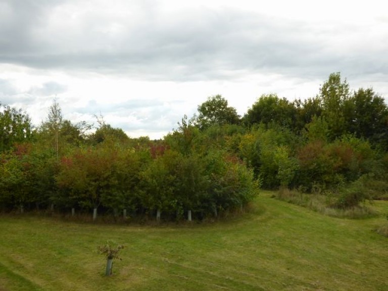Images for Murfitt Close, ELY, Cambridgeshire, CB6 EAID:ely BID:ELY