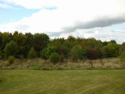 Images for Murfitt Close, ELY, Cambridgeshire, CB6